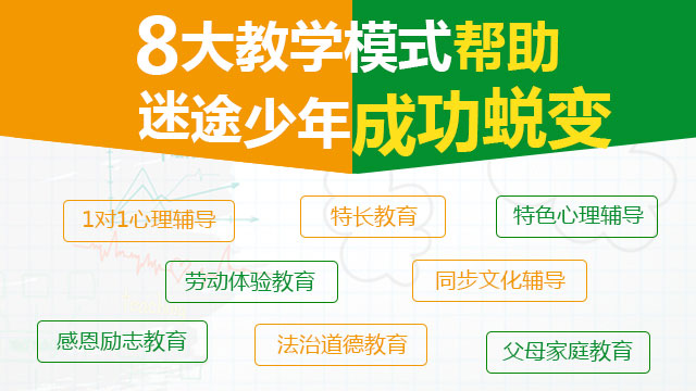 8大教学模式