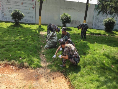 同学们正在除草